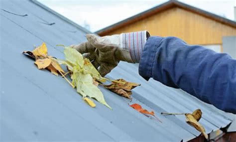 Yero Care Tips You Should Know for the Rainy .